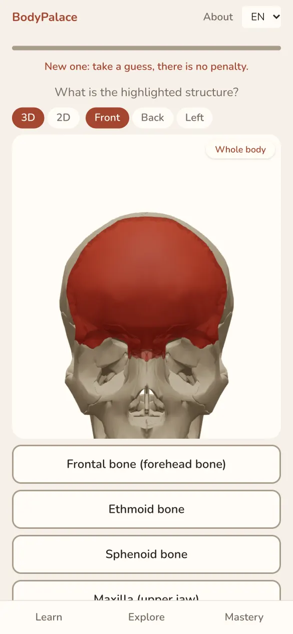 A “name it” drill: the highlighted bone of the skull, with four names to choose from.