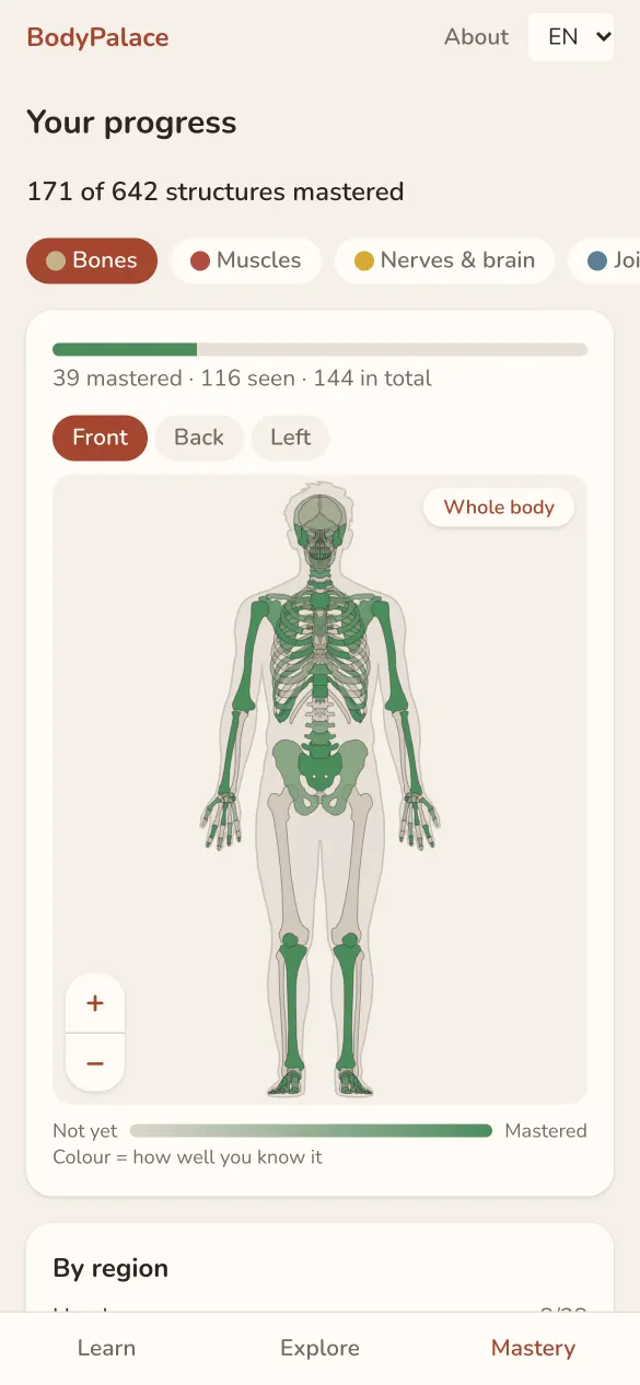 Your progress: 171 of 642 parts mastered, with known bones in green on the skeleton.